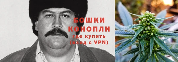 амф Козловка