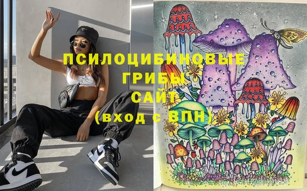 амф Козловка