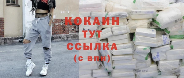 амф Козловка